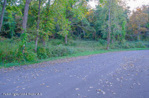 37 Tiger Maple, Saugerties